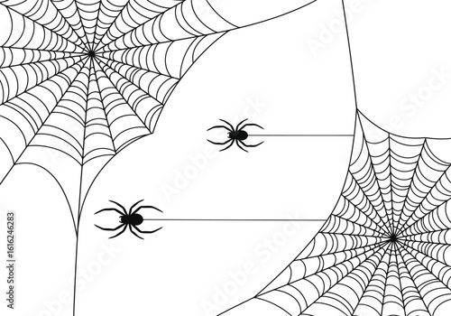 Black spiders on white spiderwebs creepy
