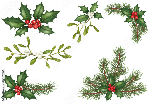 Diverse christmas botanical elements, hand-painted watercolor holly with red berries, mistletoe, pine branches with cones, vibrant, isolated on transparent background, arranged as elegant borders and