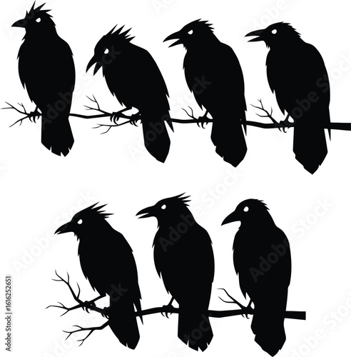Black birds perched on bare branches silhouette