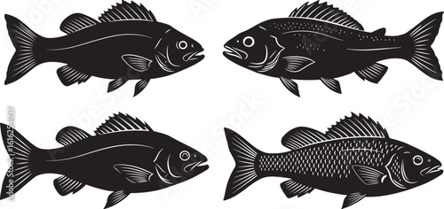 Four black fish facing each other silhouette