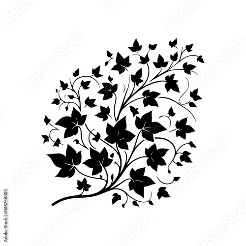 Black Silhouette of Ivy Plant with Leaves.
