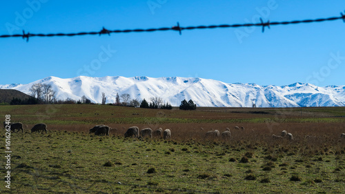 snow covered mountains