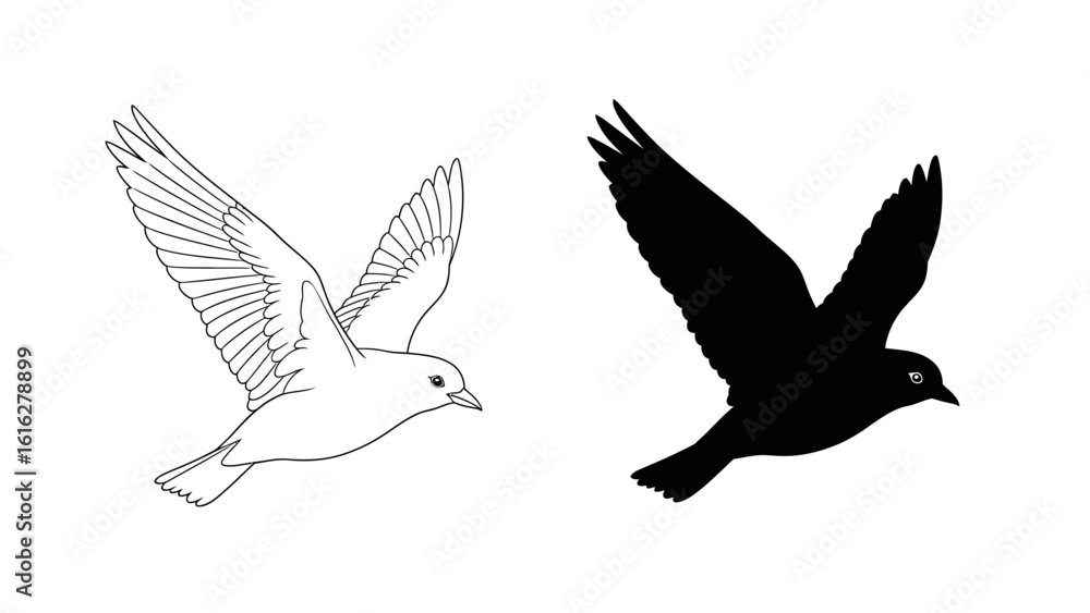 Fototapeta premium Elegant Dove in Flight Line Drawing and Silhouette Vector Art Illustration 