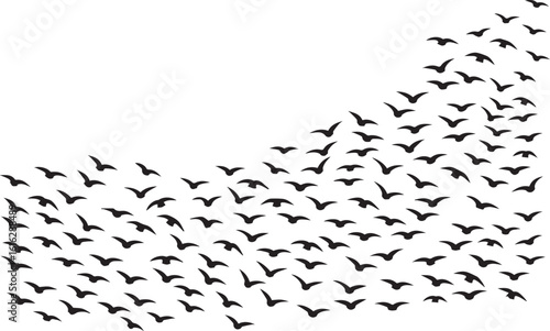 Quadro su tela large flock of flying birds vector silhouette for nature background and wildlife