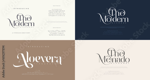 Elegant awesome alphabet letters font and number. unique serif font. Classic Lettering Minimal Fashion Designs. Typography fonts regular uppercase and lowercase. vector illustration