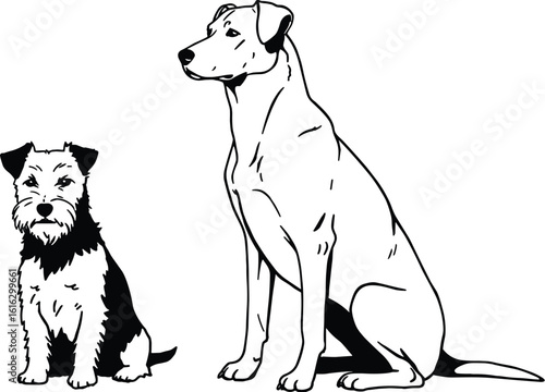 Two Adorable Dogs, a Small Terrier and a Tall Labrador, Sit Patiently Together in a Clean, Minimalist Black and White Vector Illustration for Pet and Animal Themes.