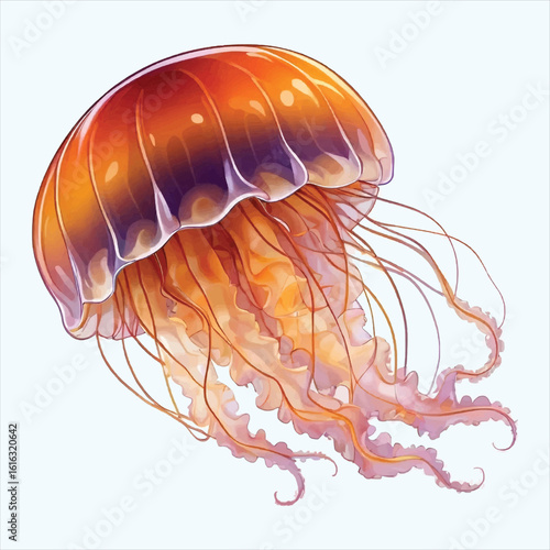 Jelly Fish Vector