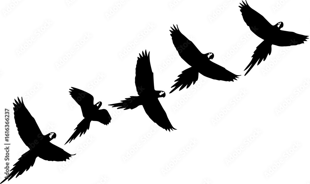 Obraz premium Flock of Parrots Silhouettes in Flight | Black Bird Silhouettes Flying Across White Background for Graphic Design and Animal Illustrations