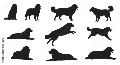 Great Pyrenees dog silhouettes isolated on a transparent background canine animal