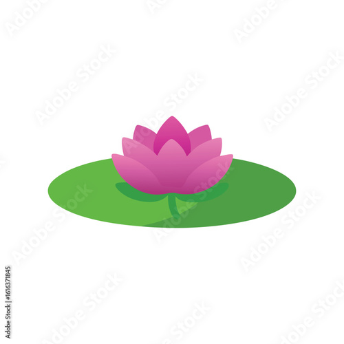 Colorful water lily in pond with green leaves vector illustration