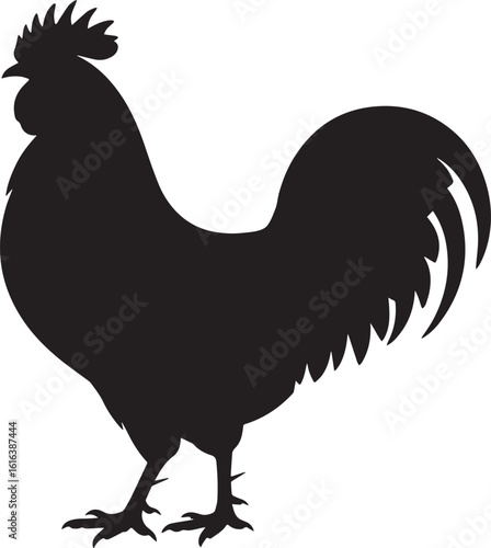 Majestic black rooster silhouette standing proudly bird fowl