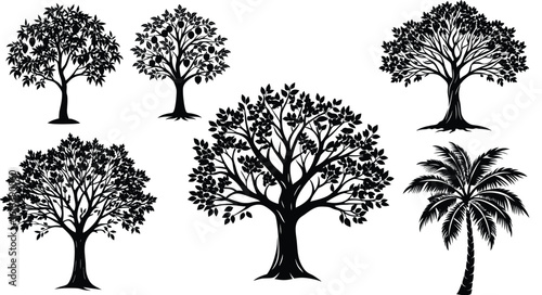 “Tree Silhouette Vector – Black Isolated Nature Graphic in 4K”

