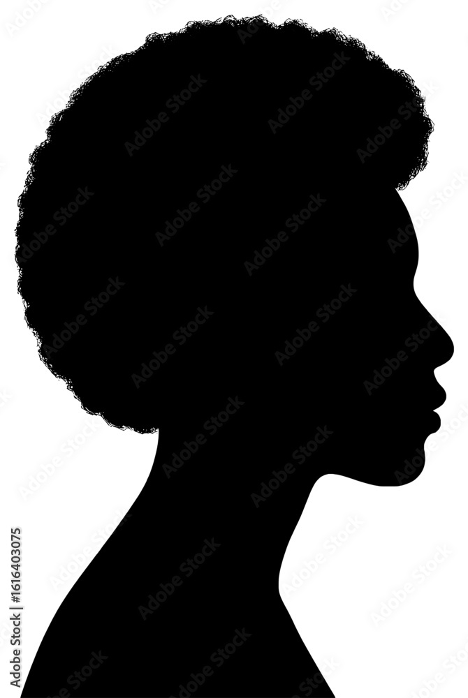 Silhouette of a Woman with Curly Hair on a White Background Silhouette of a Woman with Curly Hair on a White Background