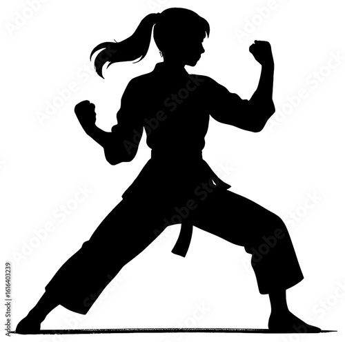 Martial Arts Silhouette in Action