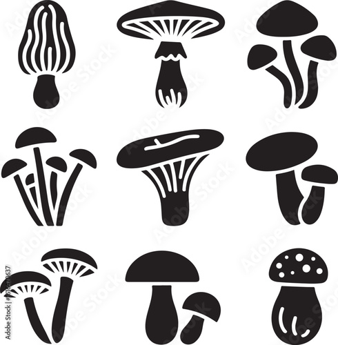 a bundle of 9 different wild mushrooms
