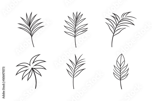 line art coconut leaf branch extending sideways set bundle on the white background