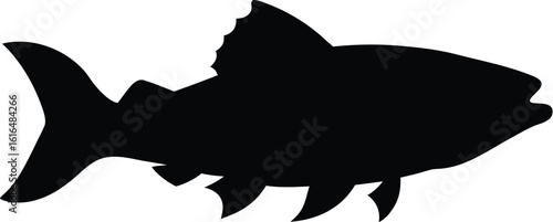 Cod fish silhouette, minimal sea illustration, seafood line drawing, single stroke marine art, ocean species vector