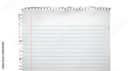 Blank torn lined paper with a spiral border

