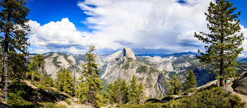 Serene Mountain View with Pine Trees and Clear Sky