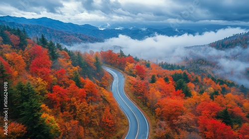 Winding Road Through Vibrant Autumn Foliage in Mountainous Landscape