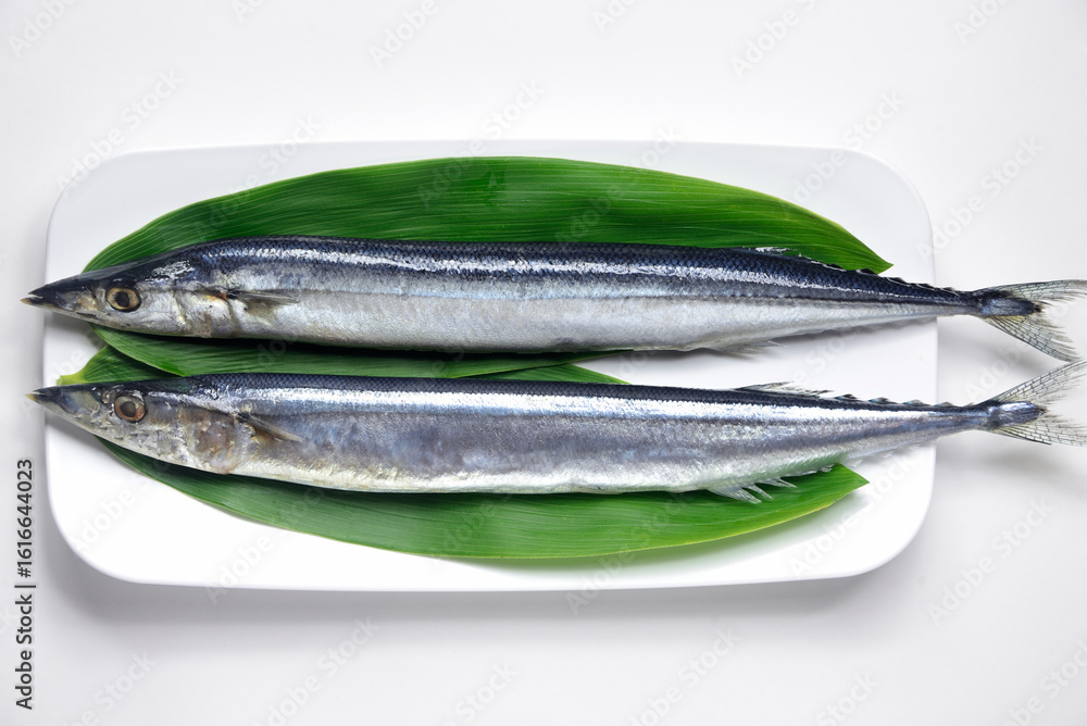 生サンマ 生サンマ