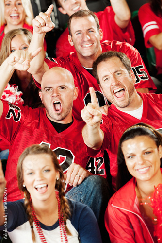 Fans: Crowd of Fans Excited for Team