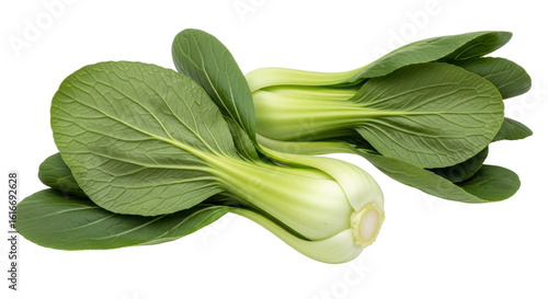 Φωτογραφία Isolated Bok choy