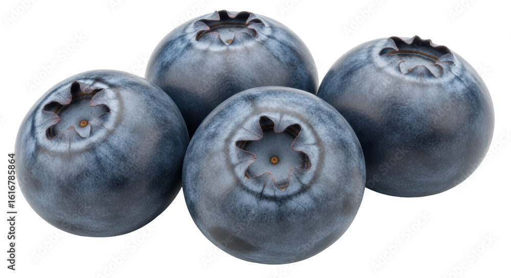 Obraz premium Isolated Blueberries