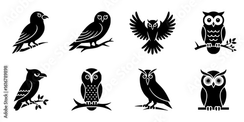 Owl & Bird Collection: A set of eight monochrome line art illustrations featuring various owl and bird species, perched on branches, in flight, showcasing their unique features.