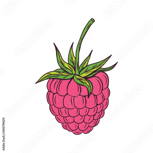 Raspberry vector flat style. For package design, labels, templates, and other materials. 