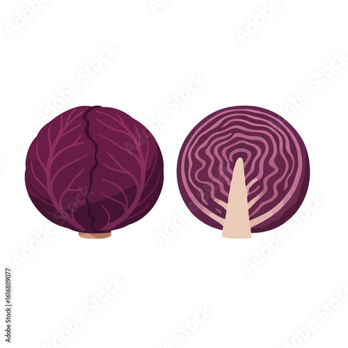 red cabbage on white background
