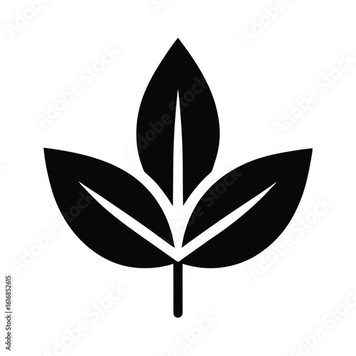 Clove Seed Leaf Icon Vector Illustration