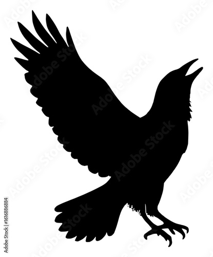 Silhouette of a soaring bird with outstretched wings