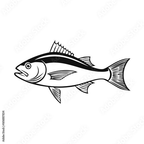 Monochrome fish illustration of aquatic animal with fins and streamlined body for fishing industry.