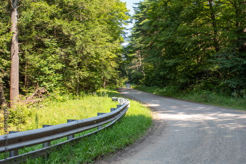 road in the forest