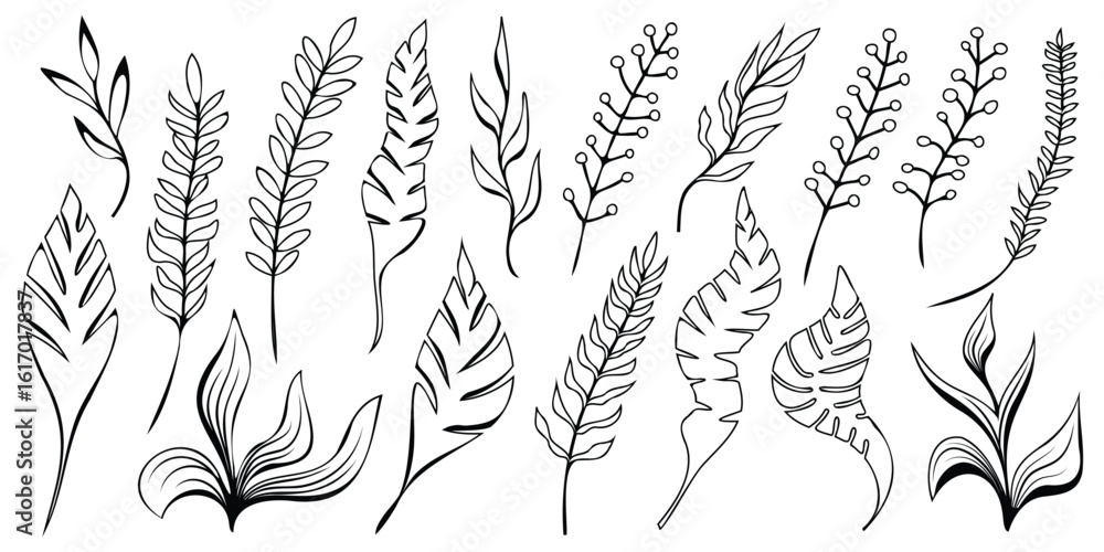 Fototapeta premium Hand drawn plant elements, leaves and vegetation, isolated on a white background, vector design