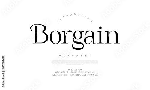 Clean and professional serif font design ideal for editorials, logos, and brand projects