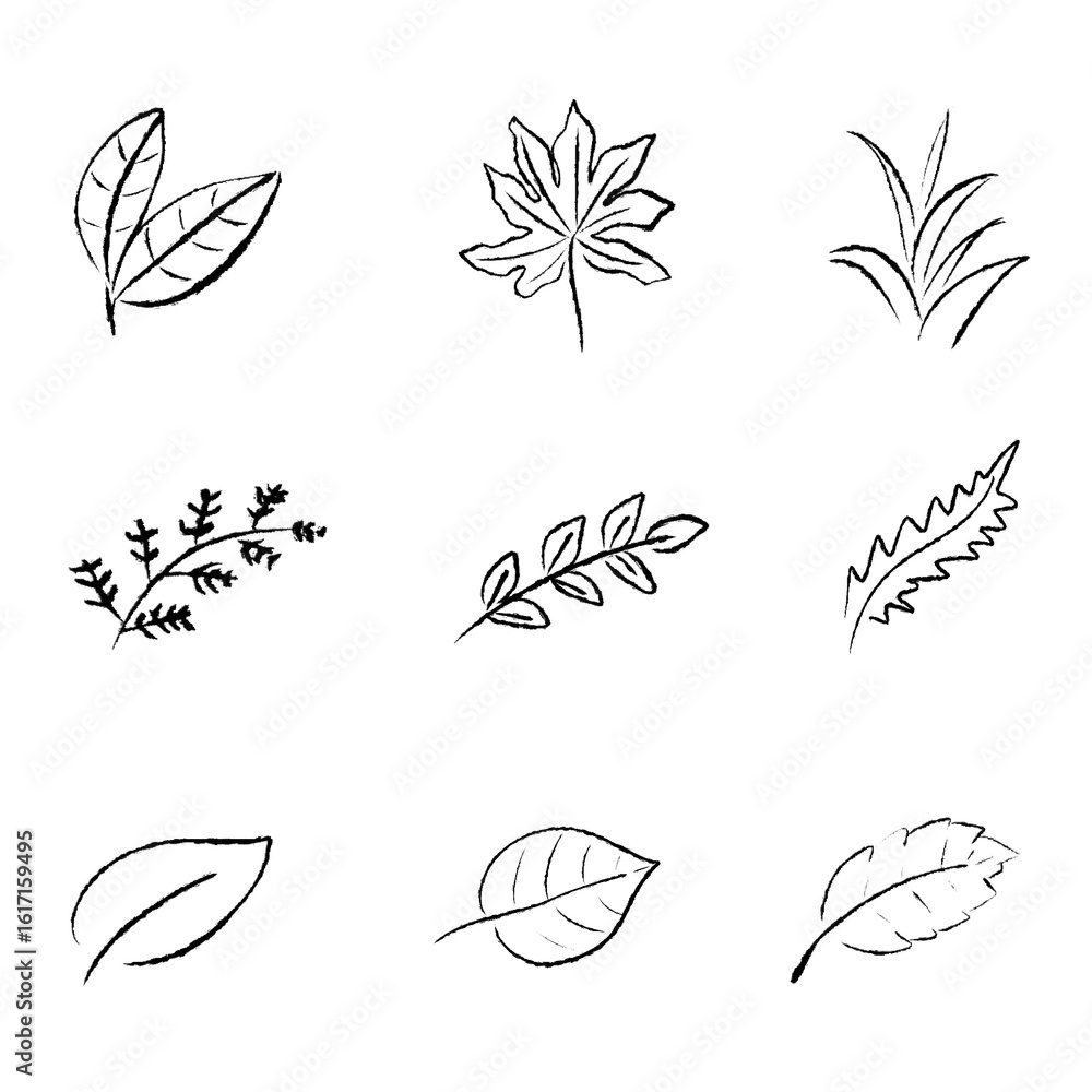 Fototapeta premium Vector set of black and white leaf