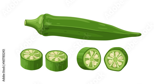 A vibrant illustration showcasing a whole okra pod alongside several sliced okra pieces, demonstrating the vegetable's internal structure.