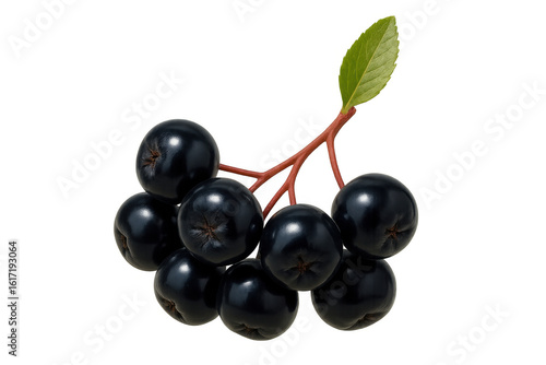 Close-up of fresh aronia berries with a single green leaf, isolated on a transparent background, showcasing their rich color and texture
