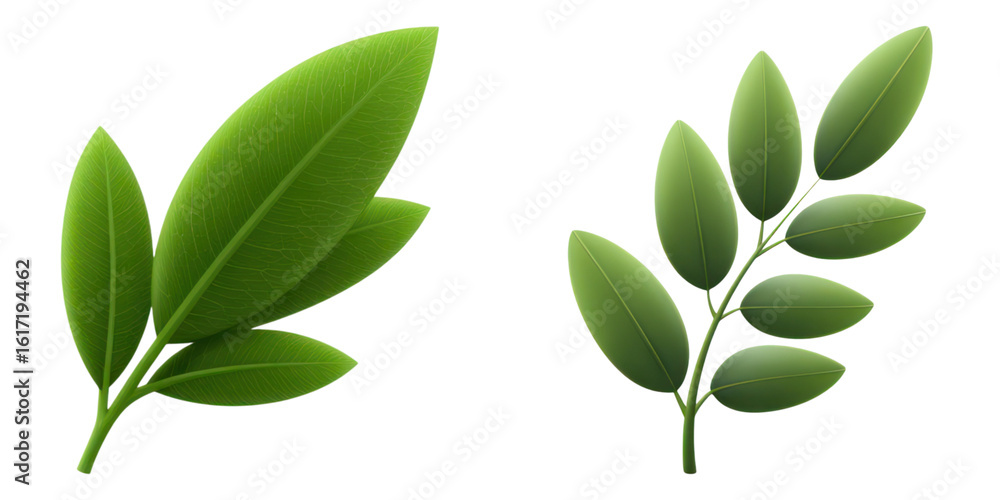 Naklejka premium Green leaf set with fresh natural foliage and healthy plant growth, vibrant leaves showing detailed texture and veins