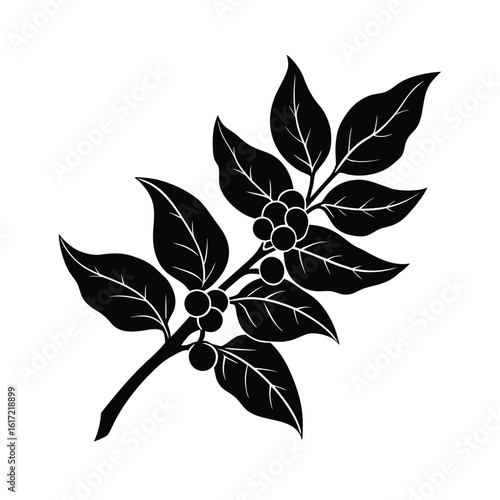 Coffee day vector art of a black silhouette of a coffee branch with leaves and beans, isolated