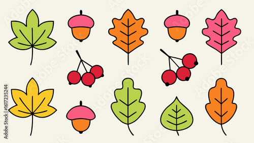 Charming hand drawn collection featuring assorted autumn leaves including maple varieties and acorns perfect for seasonal designs and natural themes