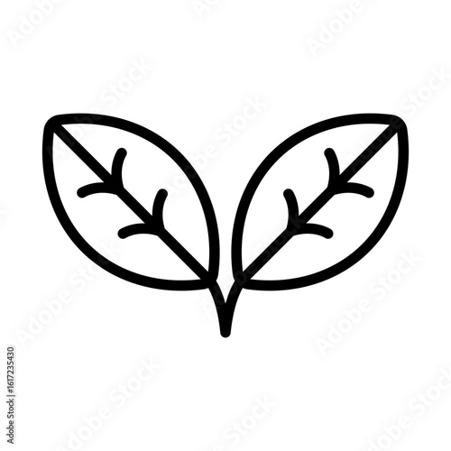 Coca Leaves