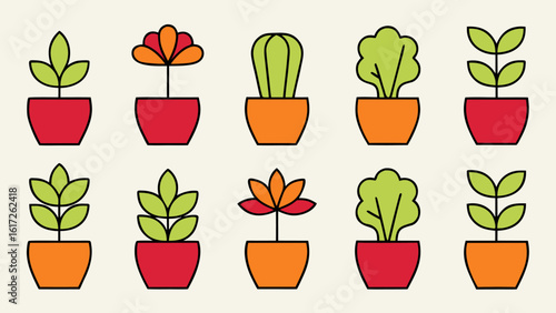 Charming collection of potted houseplants in various containers perfect for enhancing home and office environments with natural beauty and vibrant greenery