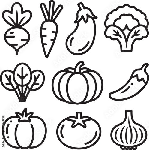 Beet carrot eggplant broccoli spinach pumpkin chili tomato garlic vector