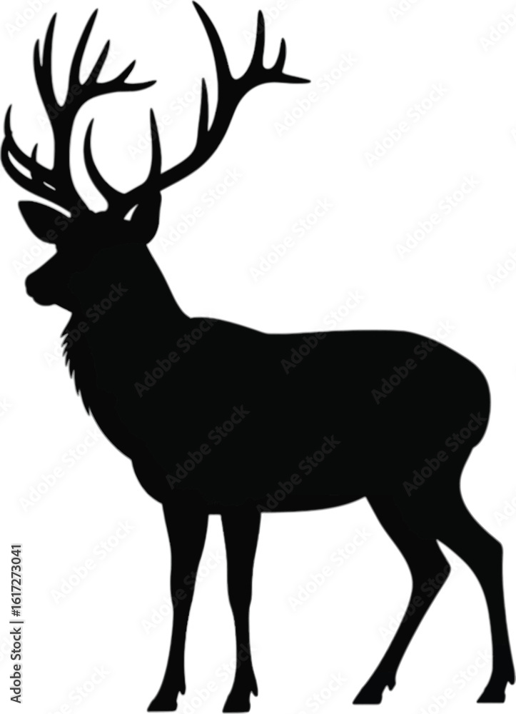 Obraz premium Majestic Stag With Large Antlers deer animal