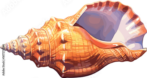 Watercolor conch shell illustration. Animal watercolor illustration.