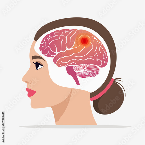 Vector illustration of a human skull with a brain area
