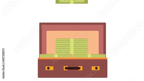 Money in the suitcase